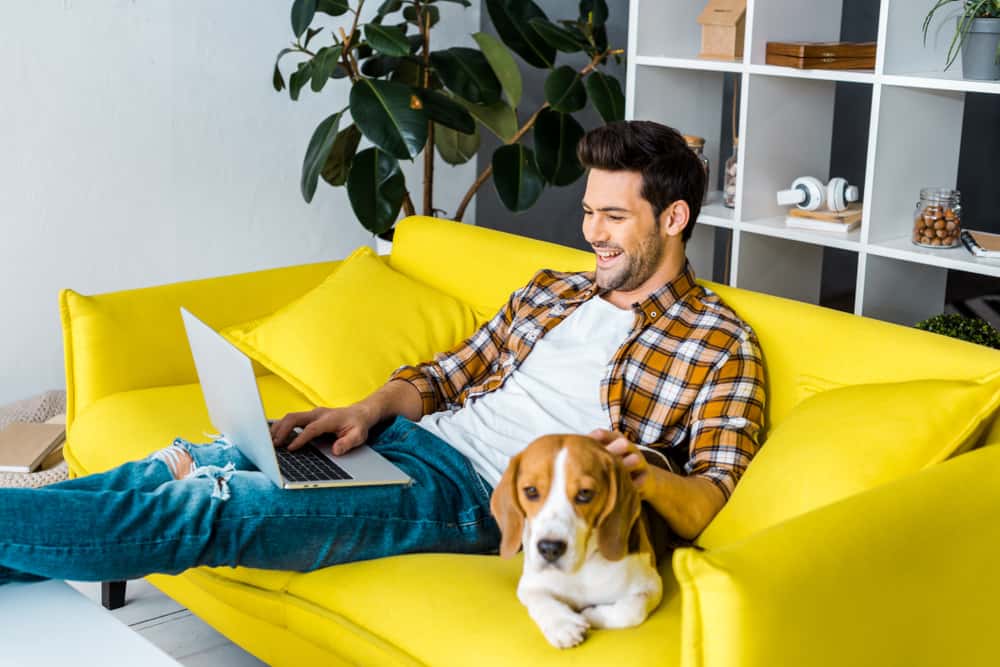 Young man with a dog writing a script on his laptop
